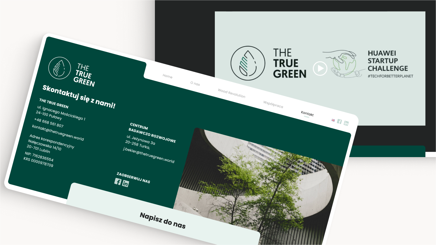 2 layouty strony internetowej The True Green