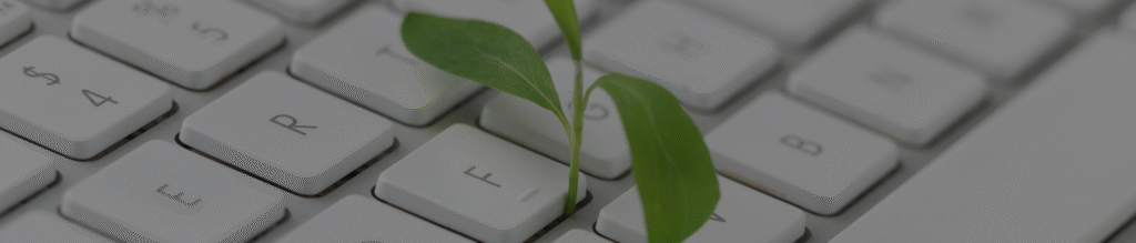 Klawiatura z zielonym liściem – tło strony o raportowaniu ESG