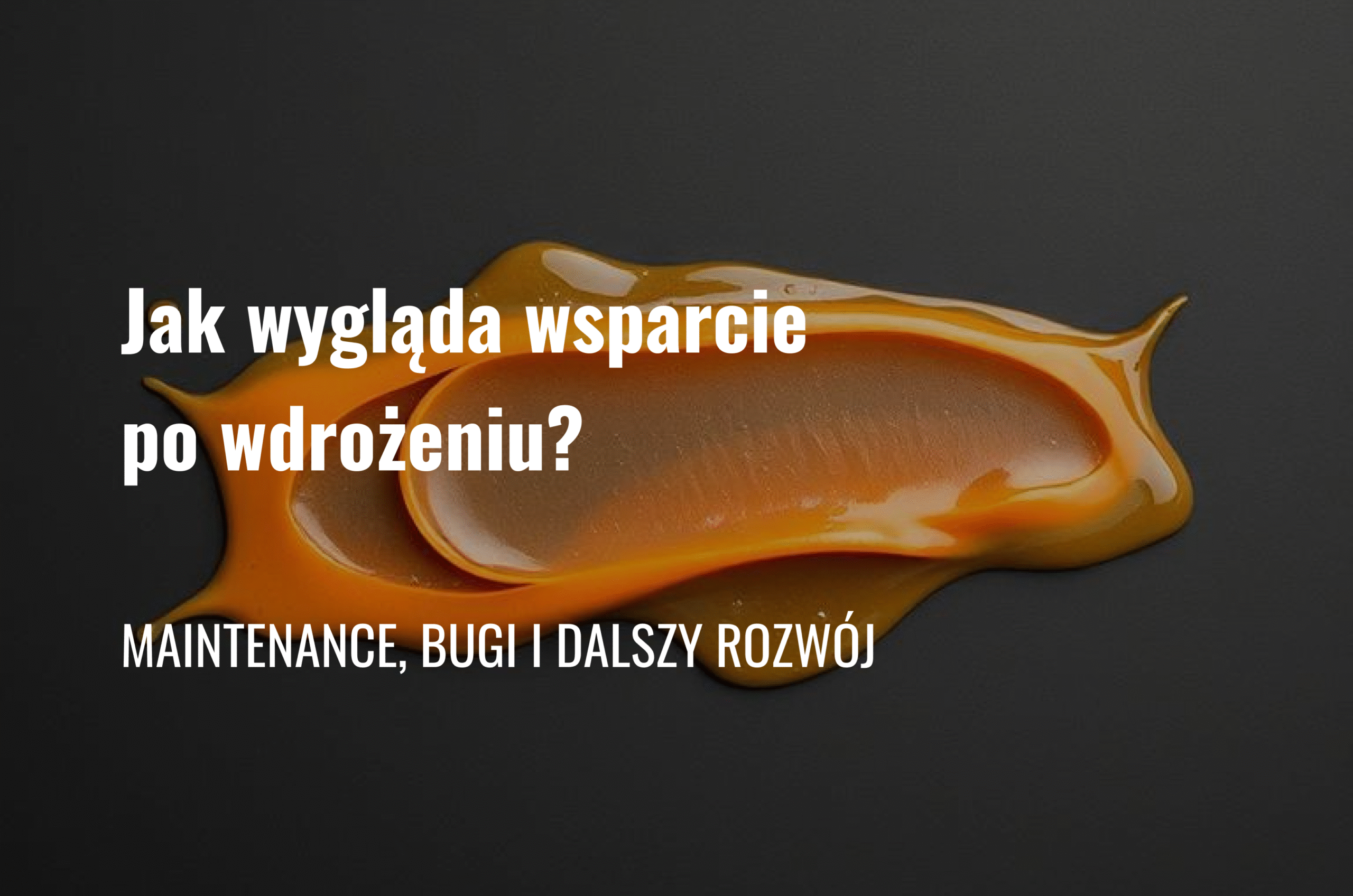 Jak wygląda wsparcie po wdrożeniu? Maintenance, bugi i dalszy rozwój