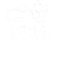 logo DeineSeite